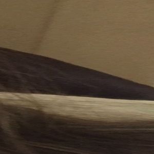 Meet your Posher, Tami